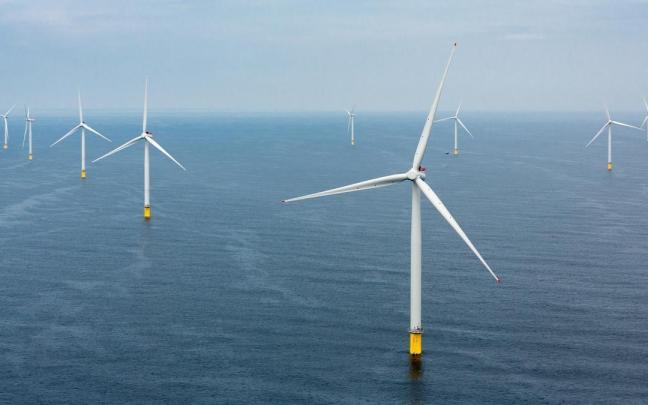 Un parque eólico marino