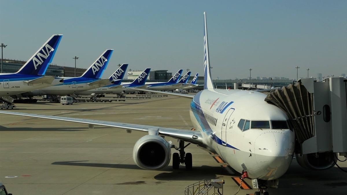 Aviones de la aerolínea japonesa ANA.
