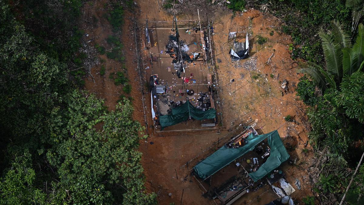 Imagen de archivo de una operación contra la deforestación en la Amazonía brasileña.