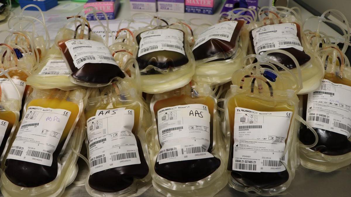 Bolsas de sangre donada en Euskadi.