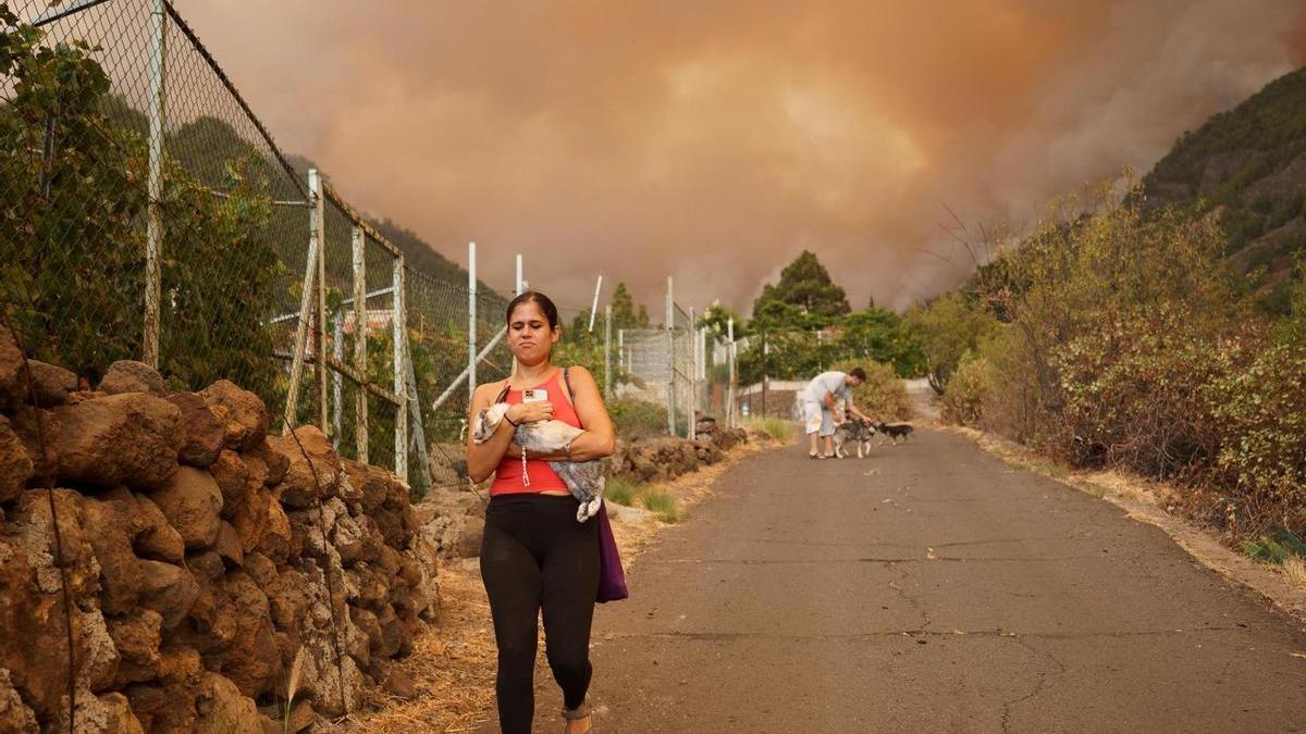 Vecinos de Candelaria desalojados por el incendio en Tenerife evacuan a sus animales.