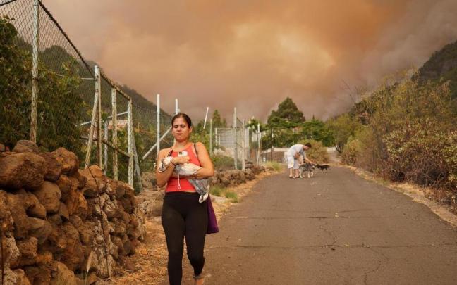 Vecinos de Candelaria desalojados por el incendio en Tenerife evacuan a sus animales.