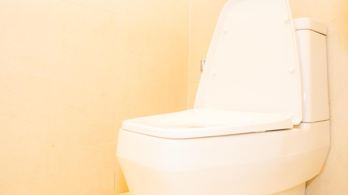 Los beneficios de echar sal al retrete