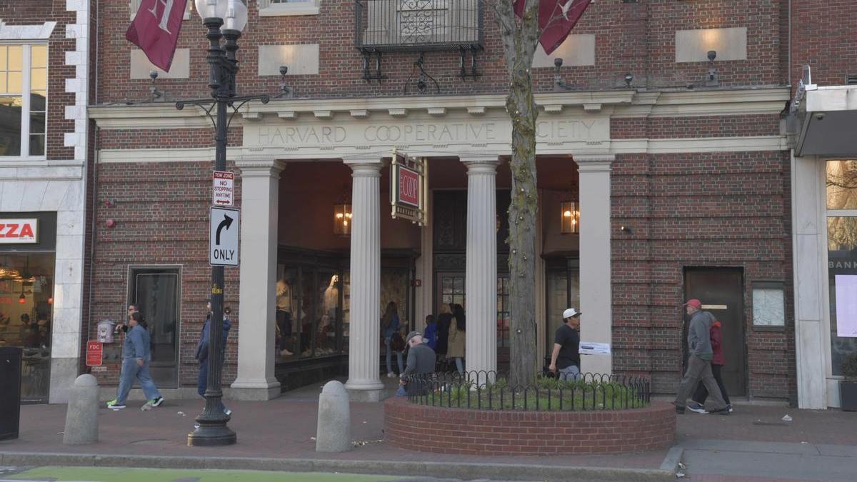 Viandantes en el campus de la Universidad de Harvard.