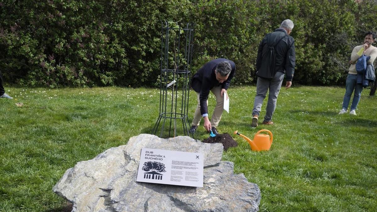 Momento de la plantación del retoño del árbol de Gernika en Praga