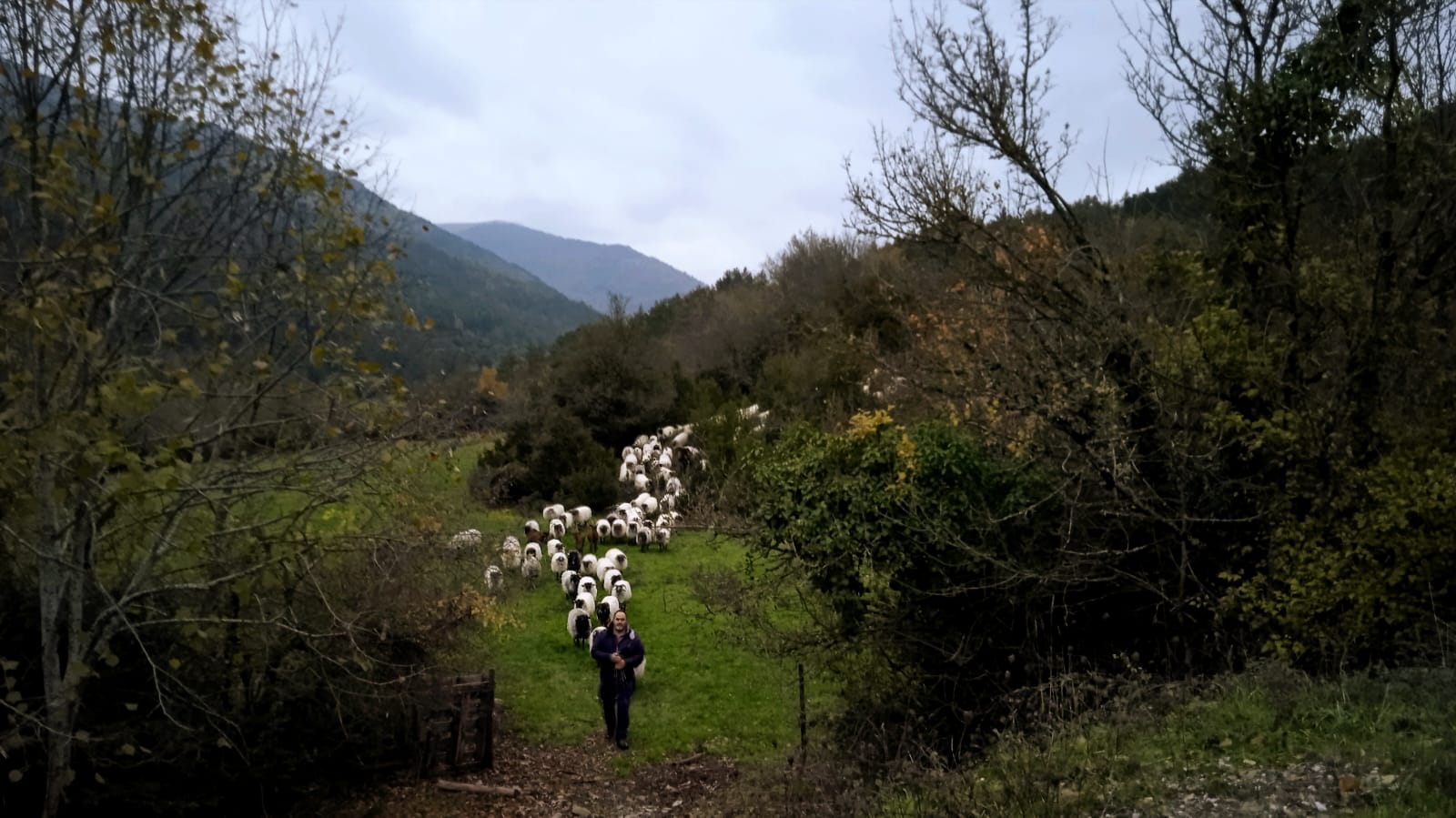 Aitor Garmendia (Quesos Tetxe)