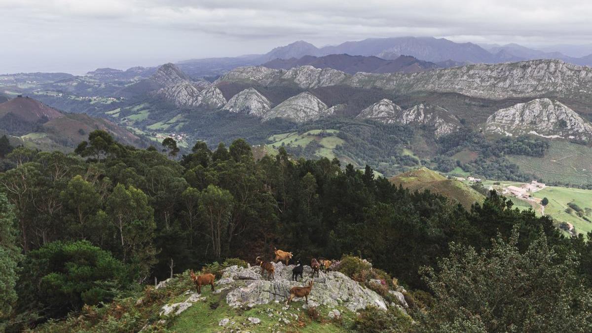 Paisaje rodeado de montañas.