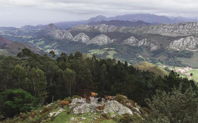 Paisaje rodeado de montañas.