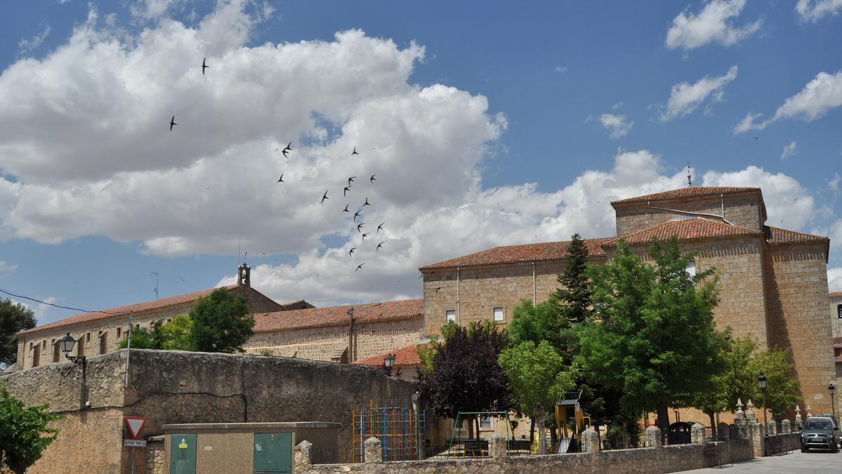 En imágenes, cuatro pueblos de la Ribera del Duero para visitar en tiempos de vendimia