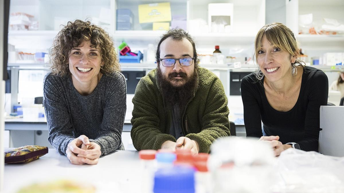 Investigadores de la EHU.