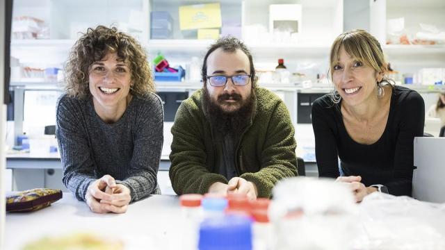 Investigadores de la EHU.