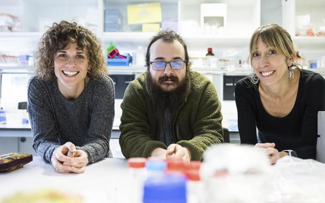 Investigadores de la EHU.