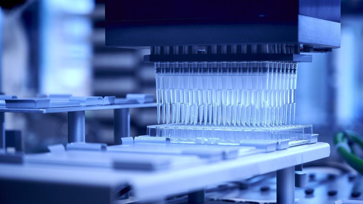 Los científicos usaron un proceso de fermentación similar al de la cerveza.