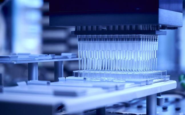 Los científicos usaron un proceso de fermentación similar al de la cerveza.