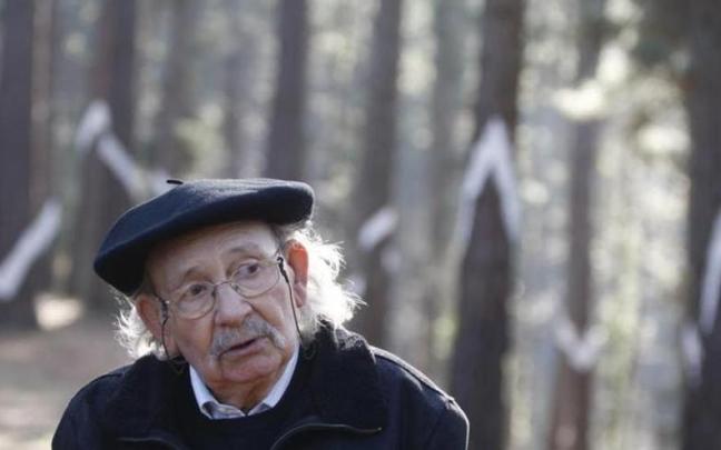Agustín Ibarrola en el Bosque de Oma. Agustín Ibarrola en el Bosque de Oma.