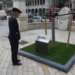 En 1809 el ingeniero agrónomo Santiago Brouard plantó un tilo en la Anteiglesia de Abando y el árbol fue trasladado en 1816 al Paseo del Arenal, frente a la entrada principal de la iglesia de San Nicolás.