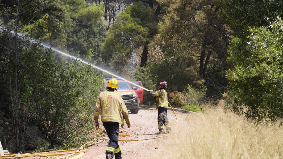 Bomberos intentan apagar el fuego activo en Sentmenat.