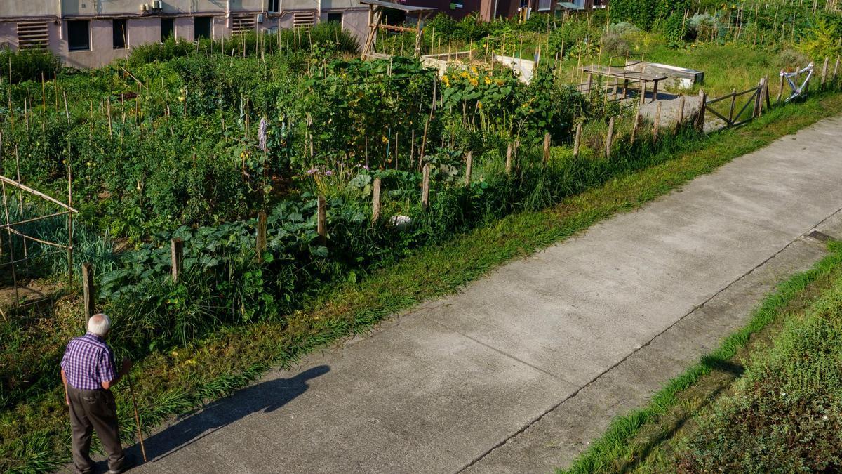 Huertas municipales de Hernani.