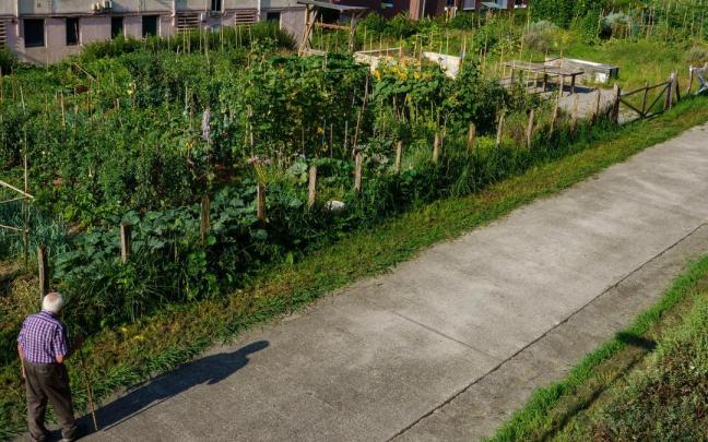 Huertas municipales de Hernani.