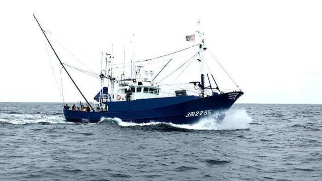 Un barco durante la pesca de bonito del norte.