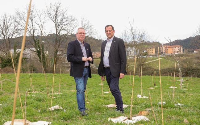 Gipuzkoako Aldundiak 45.871 euro inbertitu ditu Donostian 1.000 zuhaitz landatzeko.