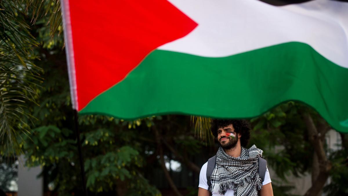 Imagen de un activista propalestino