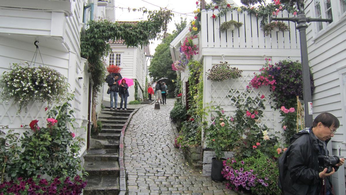 Calle ajardinada en un barrio de la periferia de Oslo.