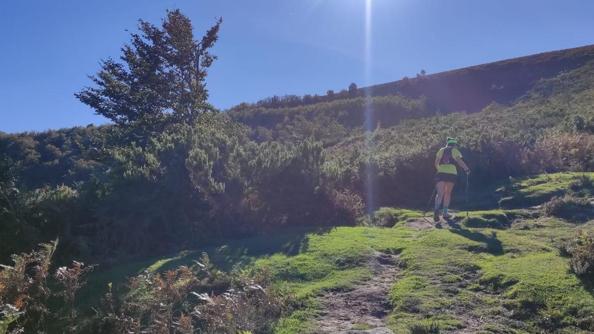 Saliendo del hayedo cambia el paisaje por completo