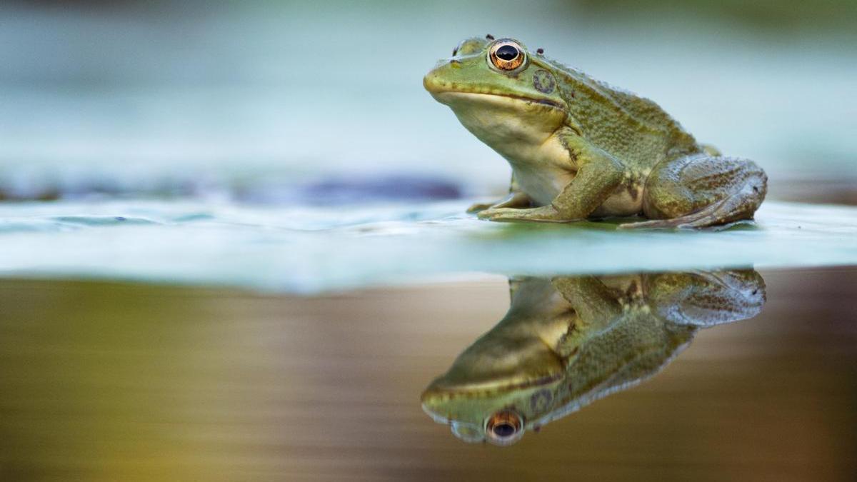 Mikel Usillos es un joven bilbaino amante de la fotografía de naturaleza o vida salvaje.