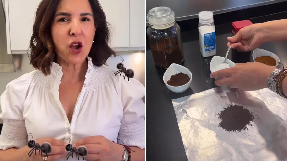 La ordentatriz tiene un truco infalible para acabar con las plagas domésticas y que tiene el añadido de ser ecológico y natural.