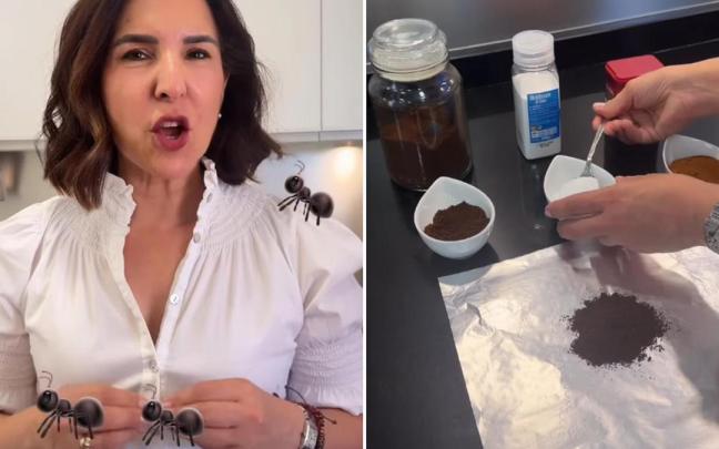 La ordentatriz tiene un truco infalible para acabar con las plagas domésticas y que tiene el añadido de ser ecológico y natural.