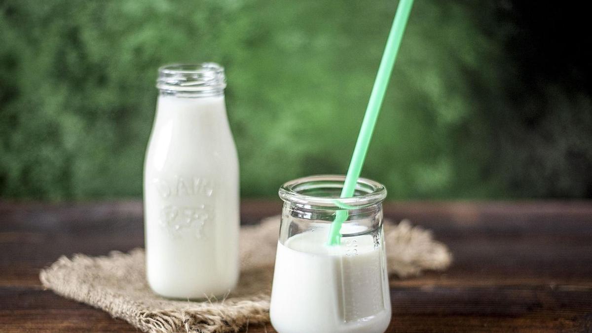 Las bebidas vegetales representan una alternativa cada vez más popular frente a la leche de origen animal.