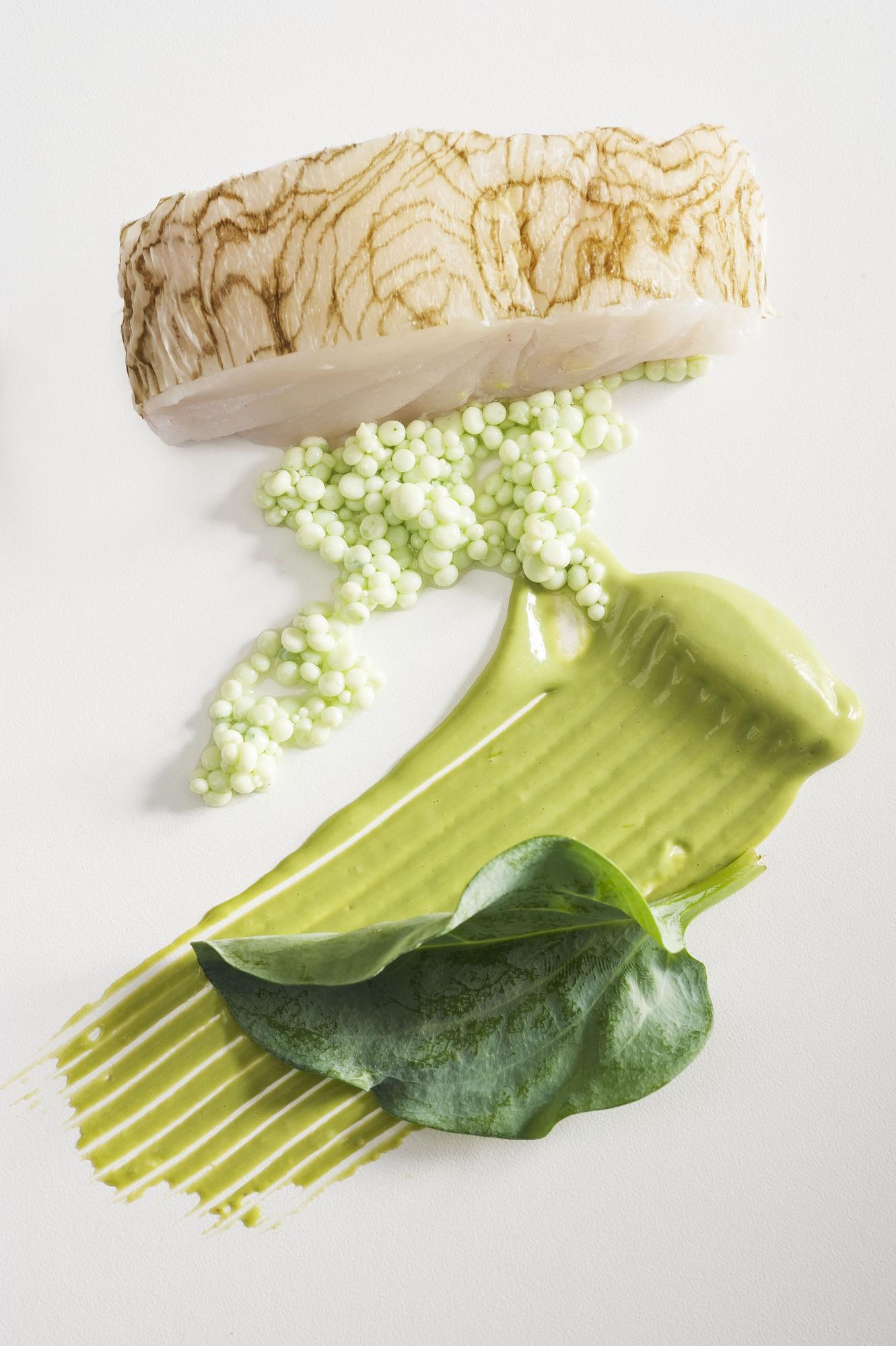 Merluza al vapór de algas, plancton y hoja de ostra.