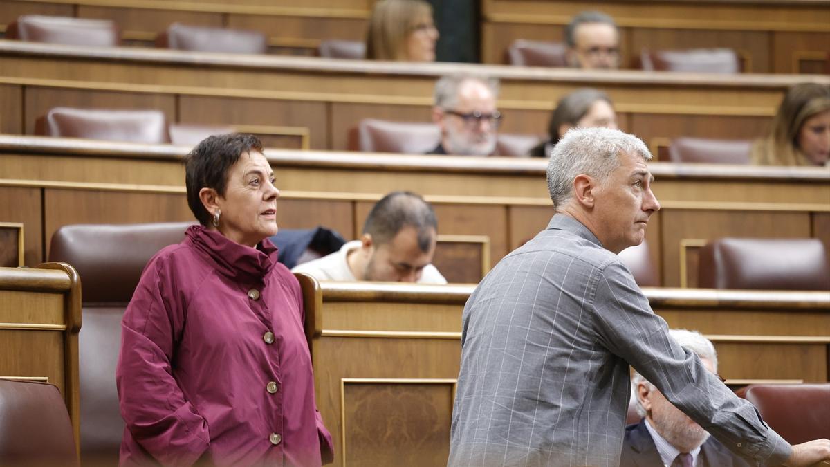 La portavoz de EH Bildu, Mertxe Aizpurua y el diputado de EH Bildu, Oskar Matute, durante una sesión de control al Gobierno.