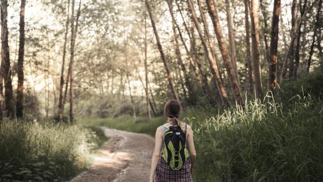 Un paseo por la naturaleza, en una imagen de archivo.