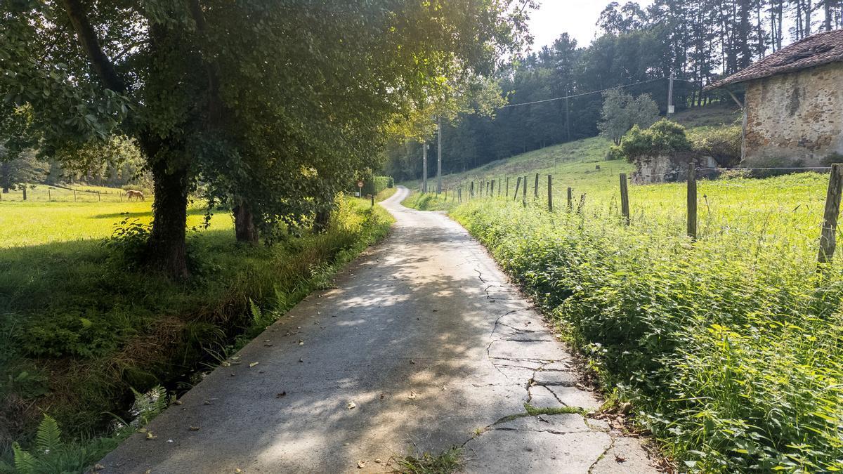 El camino del barrio Santa Ana es uno de los caminos que se repararán