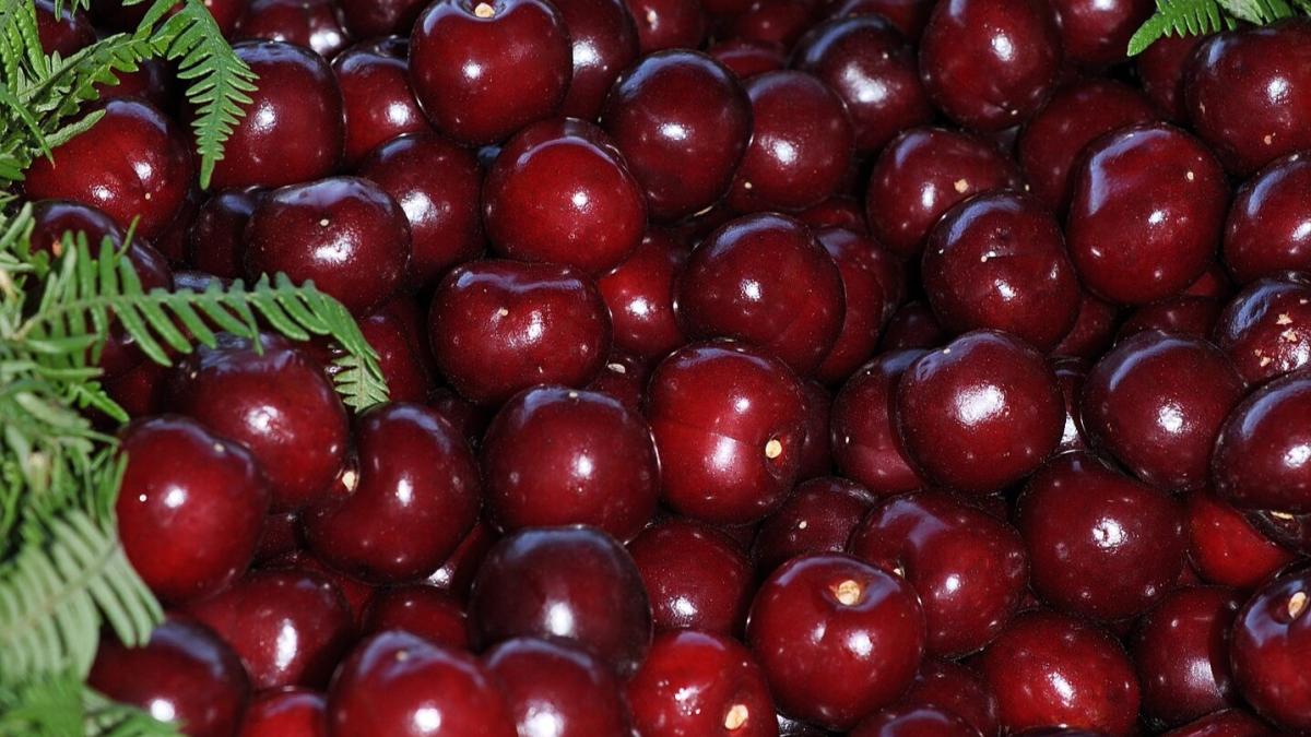 Cerezas del Valle del Jerte