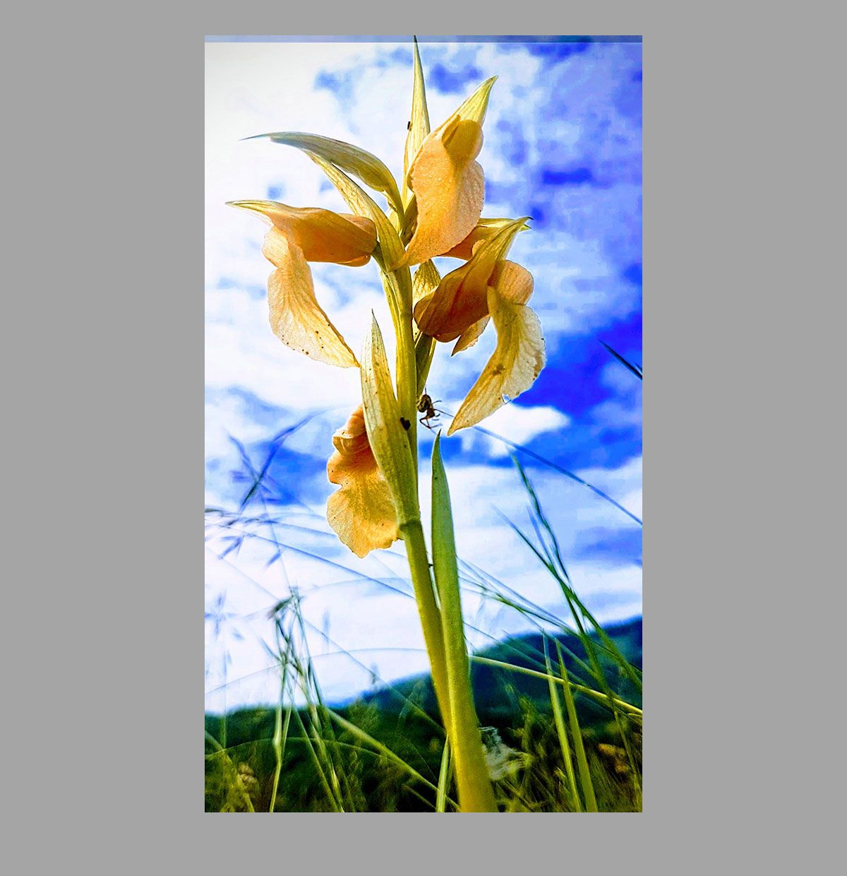 Foto ganadora premio especial de ciencia popular