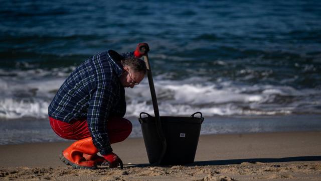Un voluntario recoge pellets en una playa gallega.