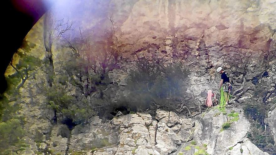 Dos escaladores se enfrentan a una multa por acercarse a alimoches en Ogoño