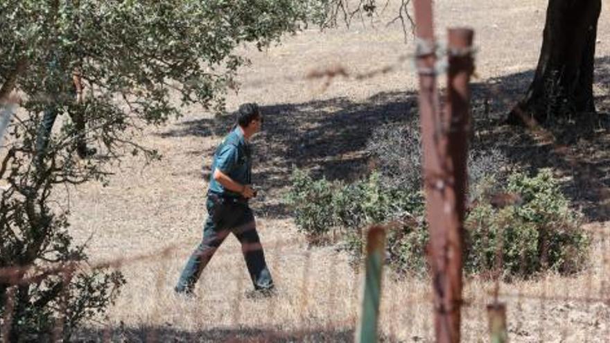 Un agente de la Guardia Civil en la zona en donde se ha producido el accidente