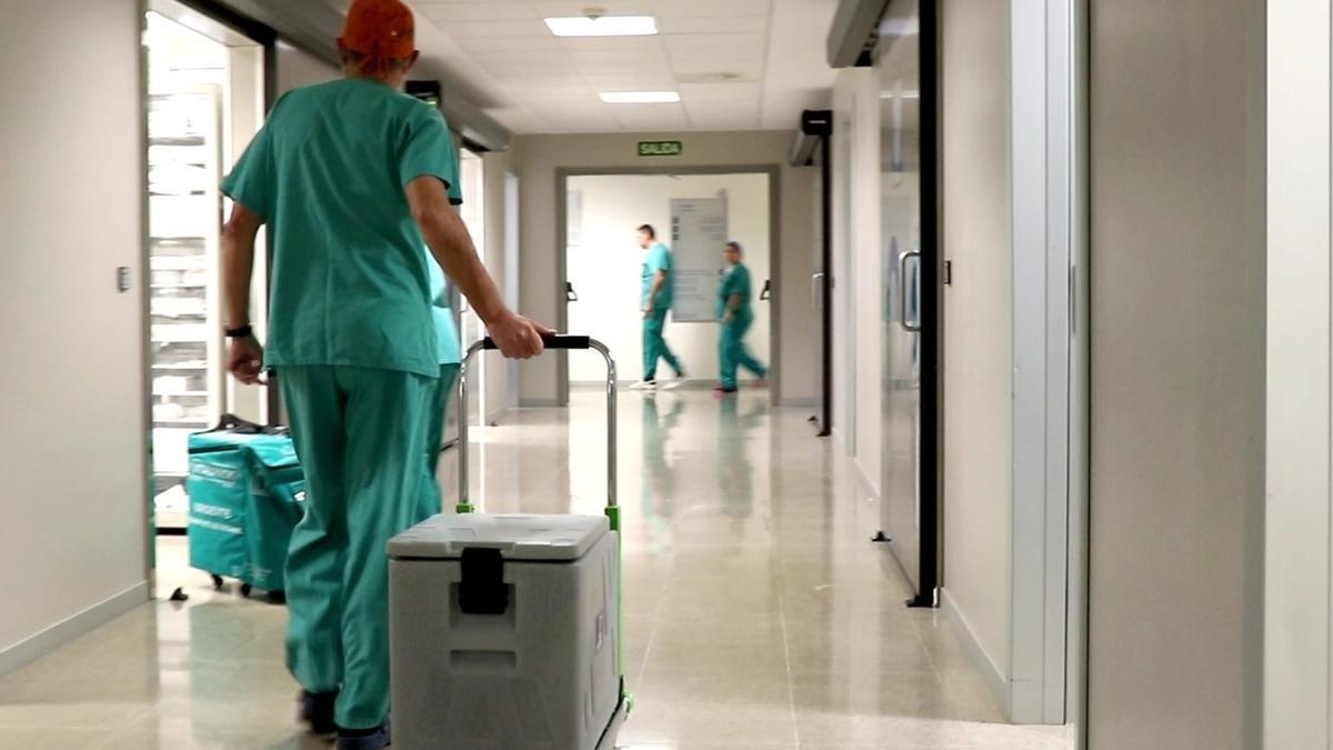 Un médico en el hospital valenciano de La Fe .