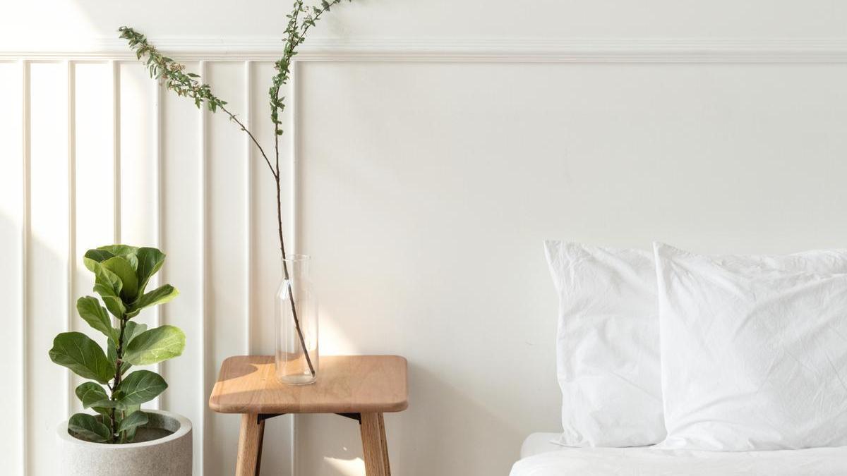 Dormitorio con dos plantas junto a la cama.