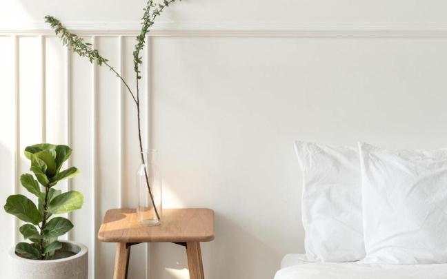 Dormitorio con dos plantas junto a la cama.