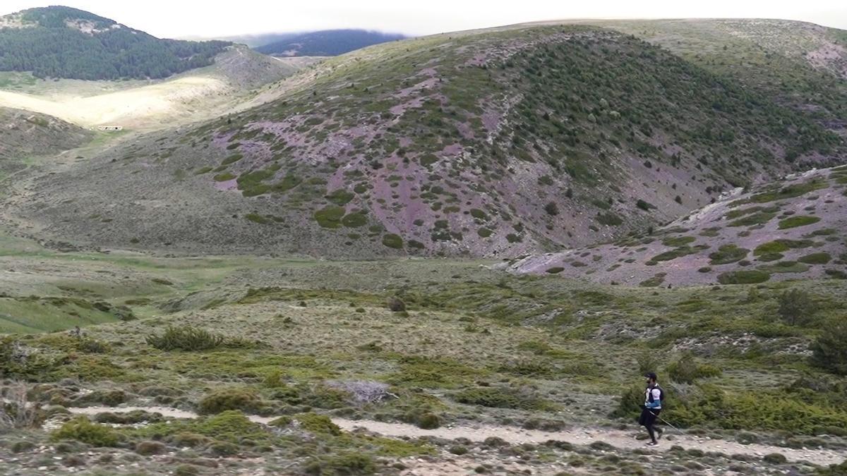 Una de las sendas de trail que recorren la comarca de tarazona y Moncayo.