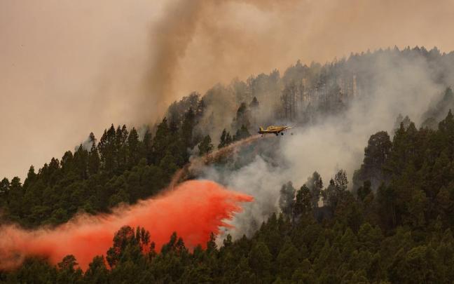 Un avión participa en las labores de extinción del incendio de Tenerife.