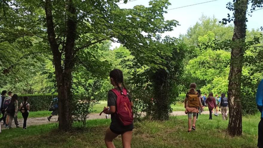 Celebración del Zuhaitz Eguna en el parque Oiangu de Ordizia