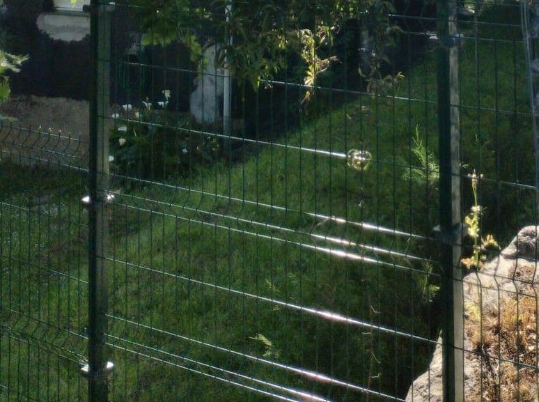 El vecino afectado ha plantado 14 pinos para que a futuro sirvan de pantalla protectora