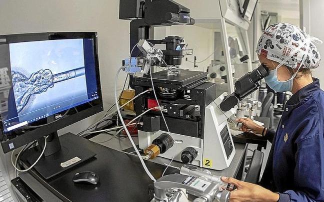 La OMS ha advertido de que una de cada seis personas en el mundo es infértil. | FOTO: EP