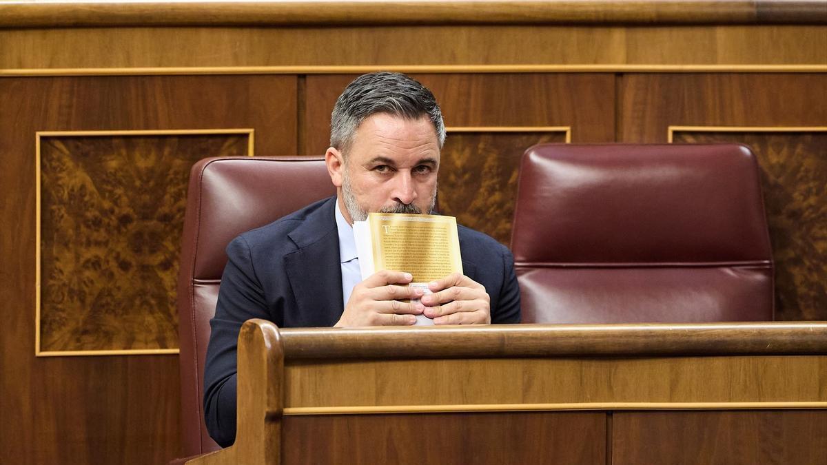 El presidente de Vox, Santiago Abascal, en el Congreso de los Diputados.